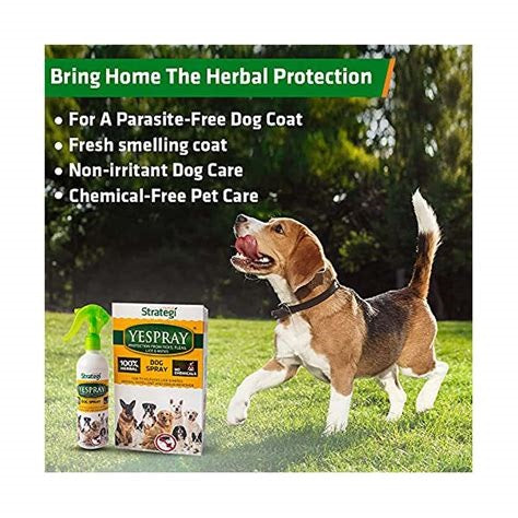 Combo deal: Dog Shampoo Conditioner + Pet Spray | 100 ml Bundle | No Harmful sulphates, Coconut goodness, Soapnut and Lemon magic