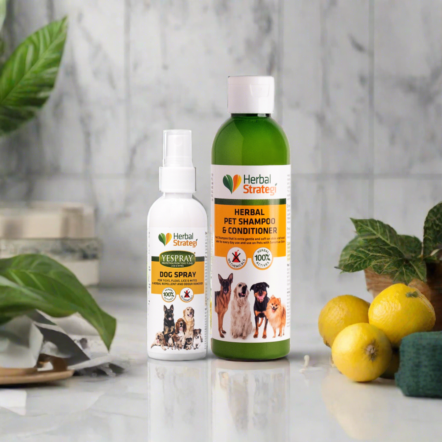 Pets Dog shampoo with conditioner and Dog spray, 100% herbal and natural