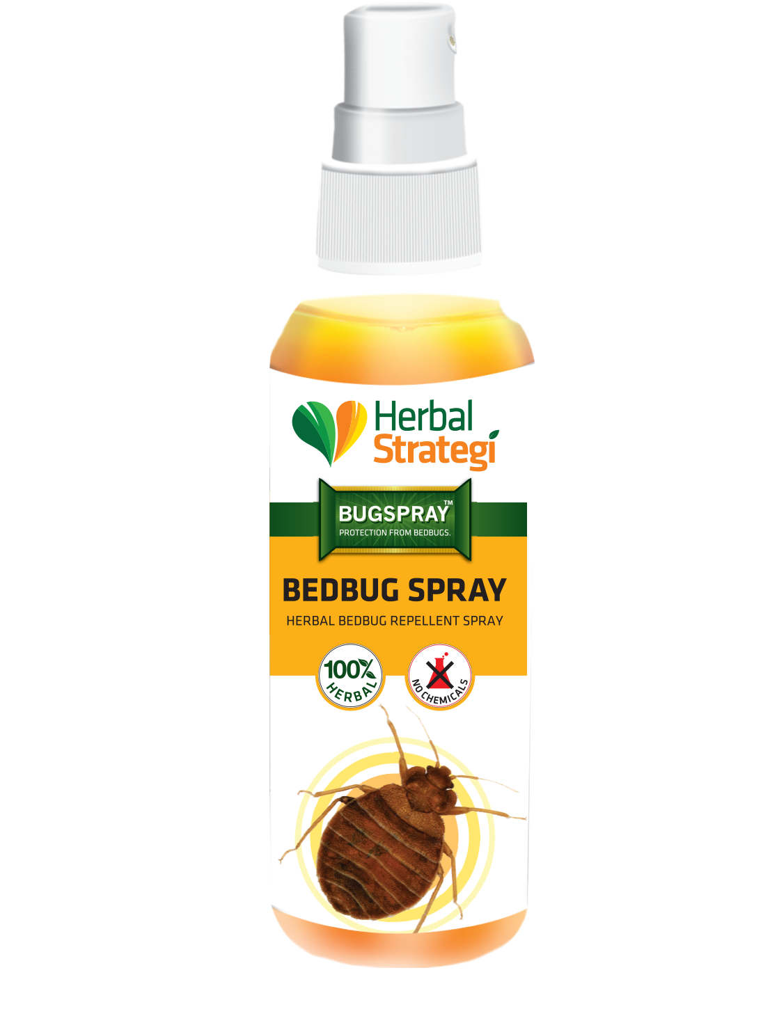 Anywhere Protection Bundle | Bed Bug repellent 200 ml | Mosquito repellent BODY spray 100 ml | Mosquito repellent ROOM spray | Herbal Hand Sanitizer 100 ml |