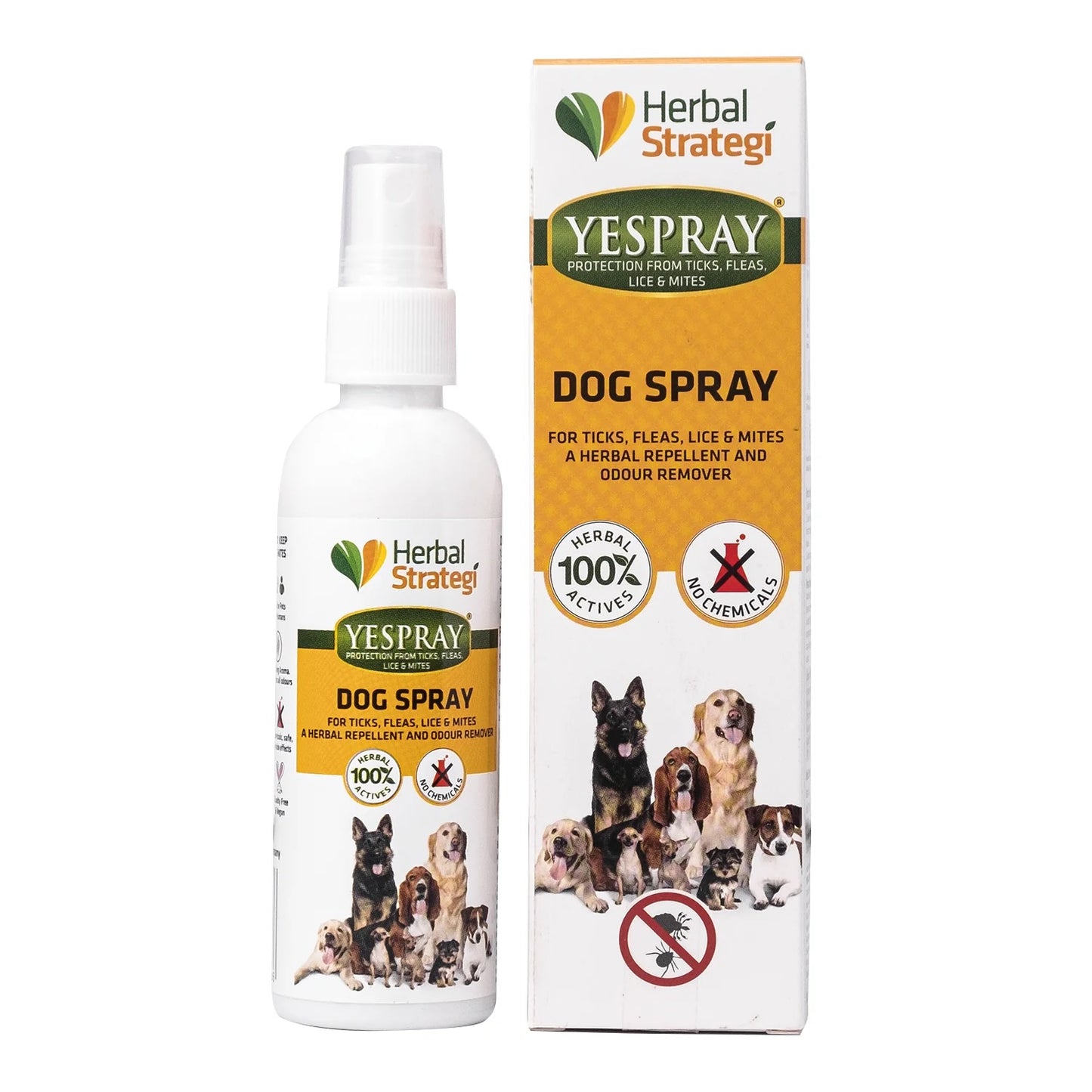 Combo deal: Dog Shampoo Conditioner + Pet Spray | 100 ml Bundle | No Harmful sulphates, Coconut goodness, Soapnut and Lemon magic