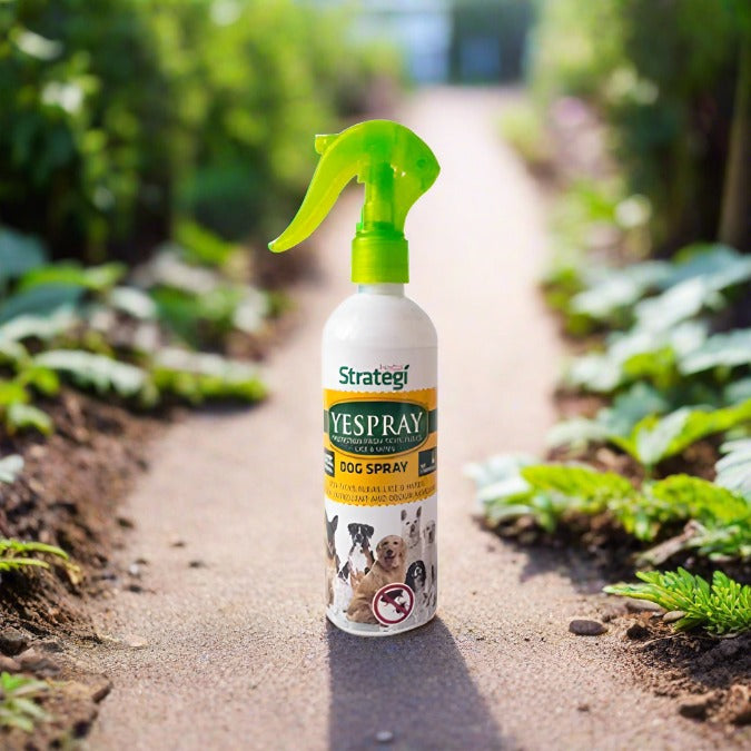 All Natural Deodorizing Spray for Dogs | Ticks, Fleas, Lice and Mites Prevention | 100 ML, 200 ML