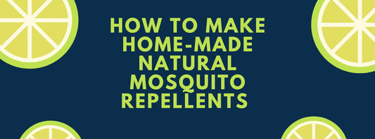 How to make home-made natural mosquito repellents in Singapore