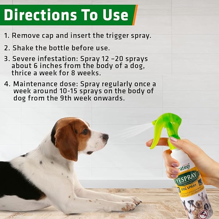 Combo deal: Dog Shampoo Conditioner + Pet Spray | 100 ml Bundle | No Harmful sulphates, Coconut goodness, Soapnut and Lemon magic