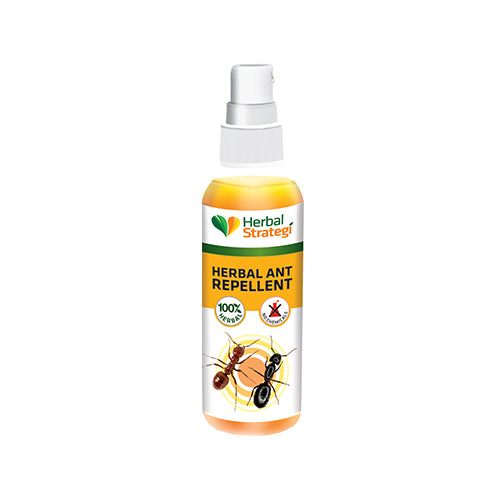 Anti-Pest Herbal Pest Repellent bundle | Cockroach Repellent 100 ML + Ant Repellent 100 ML + Lizard Repellent 100 ML + Bed Bug Repellent 200 ML + Mosquito Body Spray 100 ML