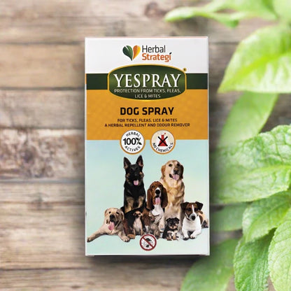 All Natural Deodorizing Spray for Dogs | Ticks, Fleas, Lice and Mites Prevention | 100 ML, 200 ML