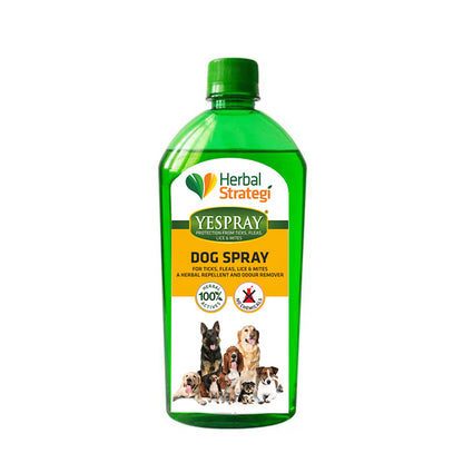 All Natural Deodorizing Spray for Dogs | Ticks, Fleas, Lice and Mites Prevention | 100 ML, 200 ML